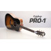 Epiphone PRO-1 Acoustic Vintage Sunburst Epiphone PRO-1 Acoustic Vintage Sunburst