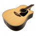 Takamine GD51CE-NAT