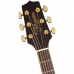 Takamine GD51CE-NAT