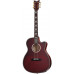 Schecter Hellraiser Studio AC BCH