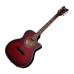 Schecter Hellraiser Studio AC BCH
