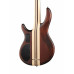 Cort A4-Plus-FMMH-OPLB Artisan Series Cort A4-Plus-FMMH-OPLB Artisan Series