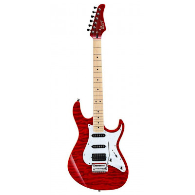 Cort G250DX-TR