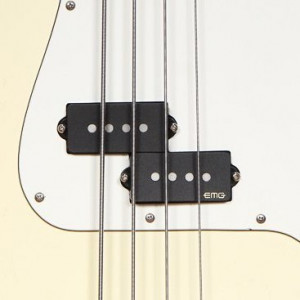 Bass (1)