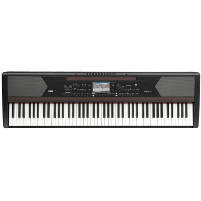 Korg Havian 30