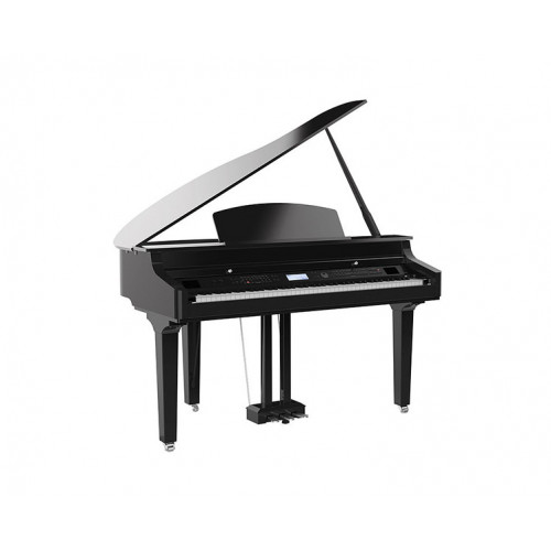 Medeli GRAND510(GB)