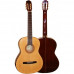 Hohner HC06
