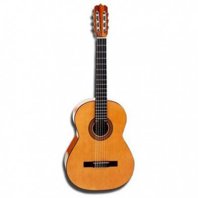 Hohner HC20