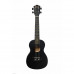 Terris TTC-1