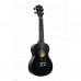 Terris TTC-1