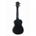Terris TTC-1